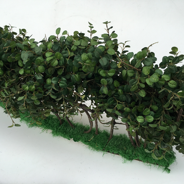 GREENERY, Box Hedge 1m Curved Section